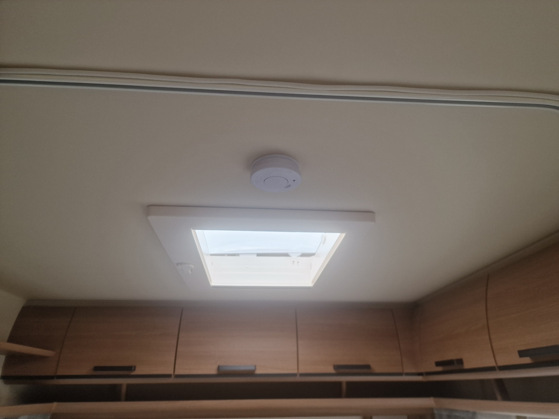 Fendt Saphir 465 TG 2020