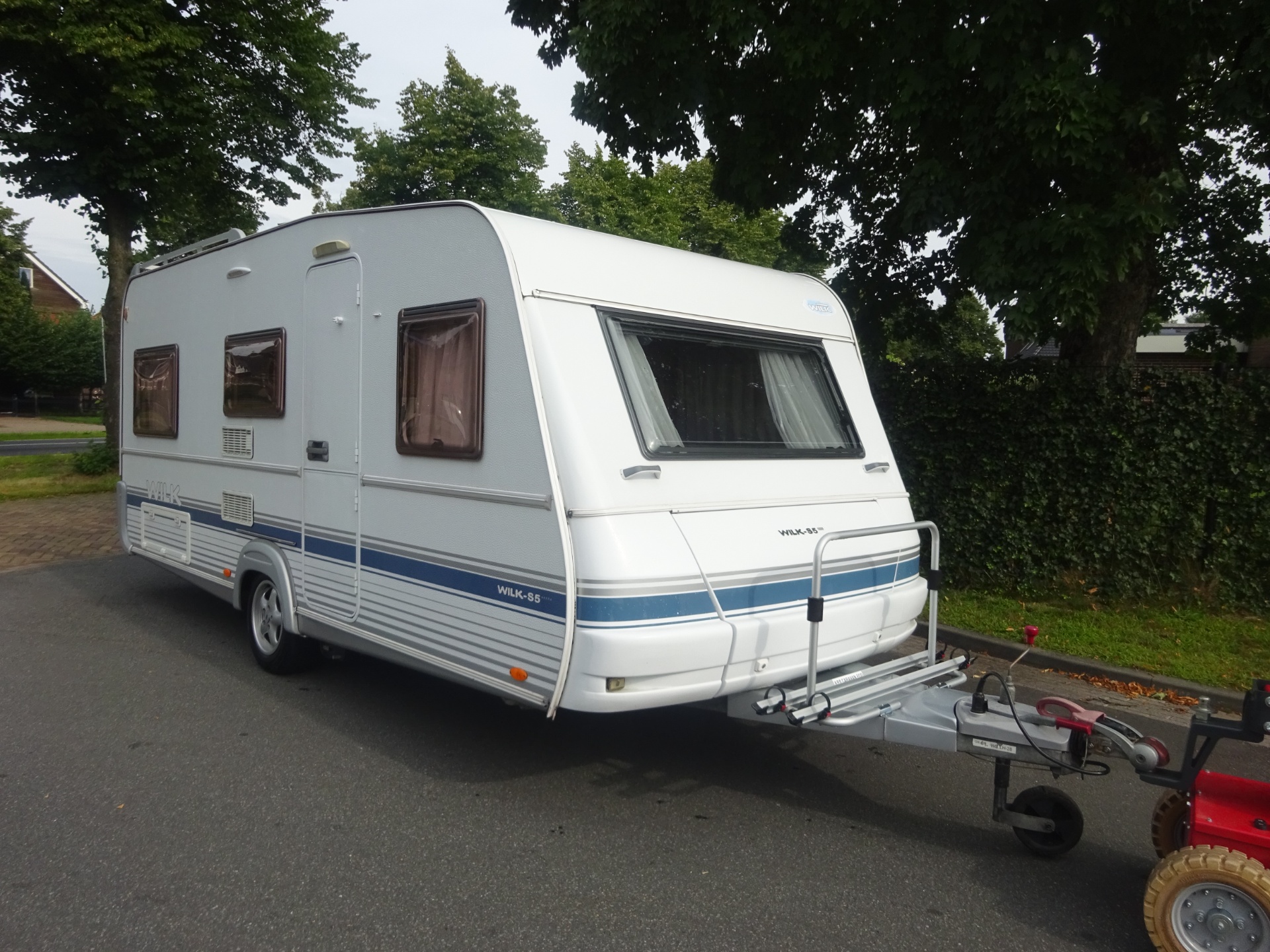 Wilk Blue star S***** GERESERVEERD