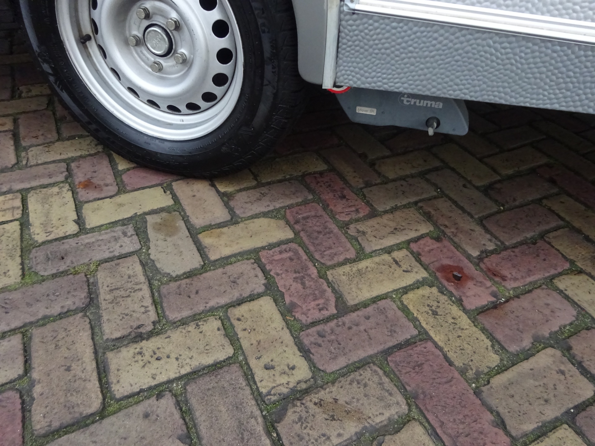 Fendt Saphir 470 Met Vaste Luifel en Mover