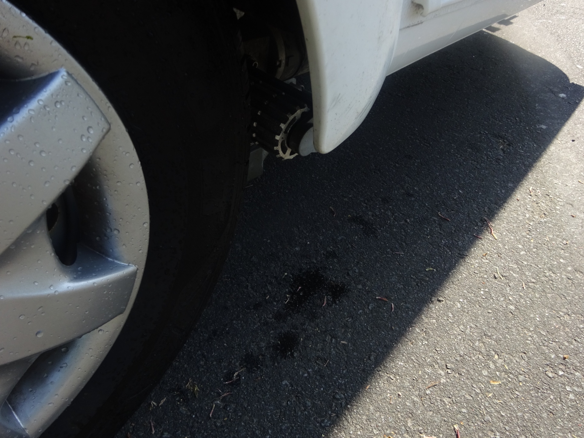 Burstner Averso 395TS met Mover